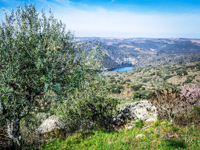 Fermoselle, en los Arribes del Duero Zamoranos