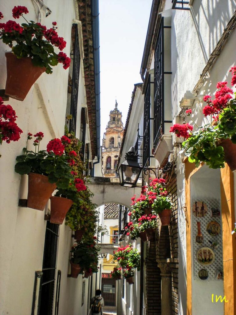 Qué ver en Córdoba - Calleja de las Flores