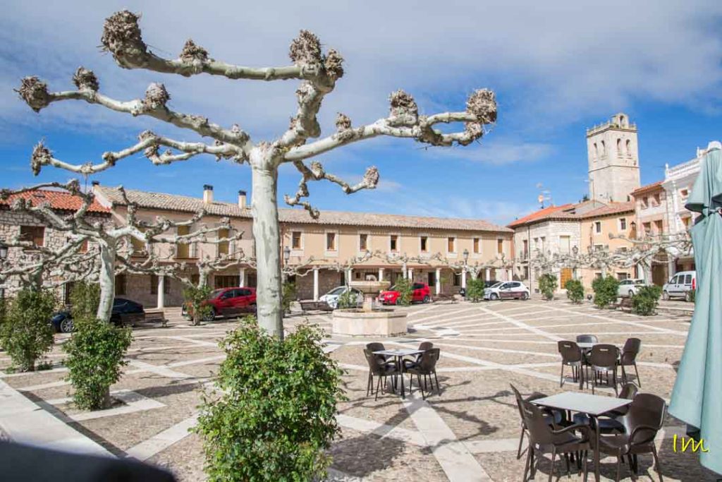 Torija y su Castillo Templario