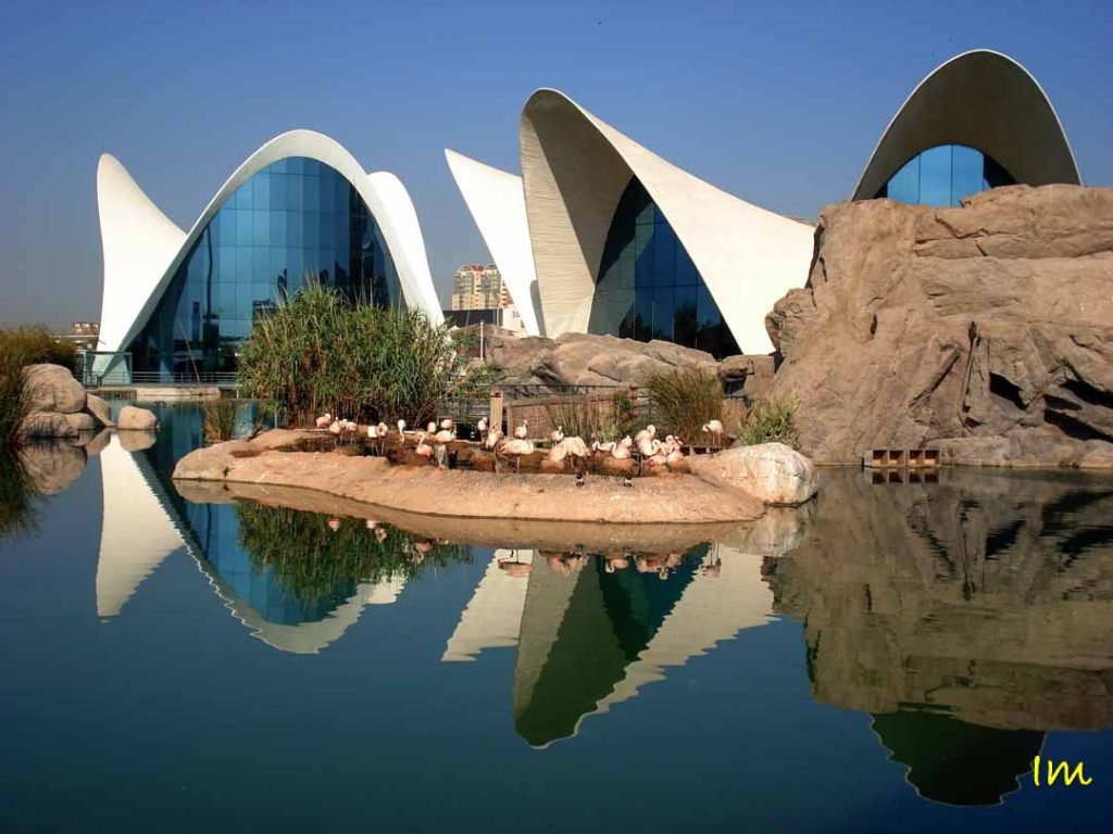 Ciudad de las Artes y las Ciencias - Oceanográfico