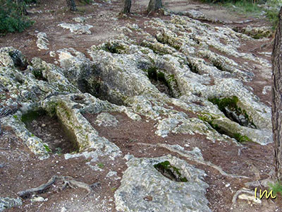 Parque Natural de Olérdola