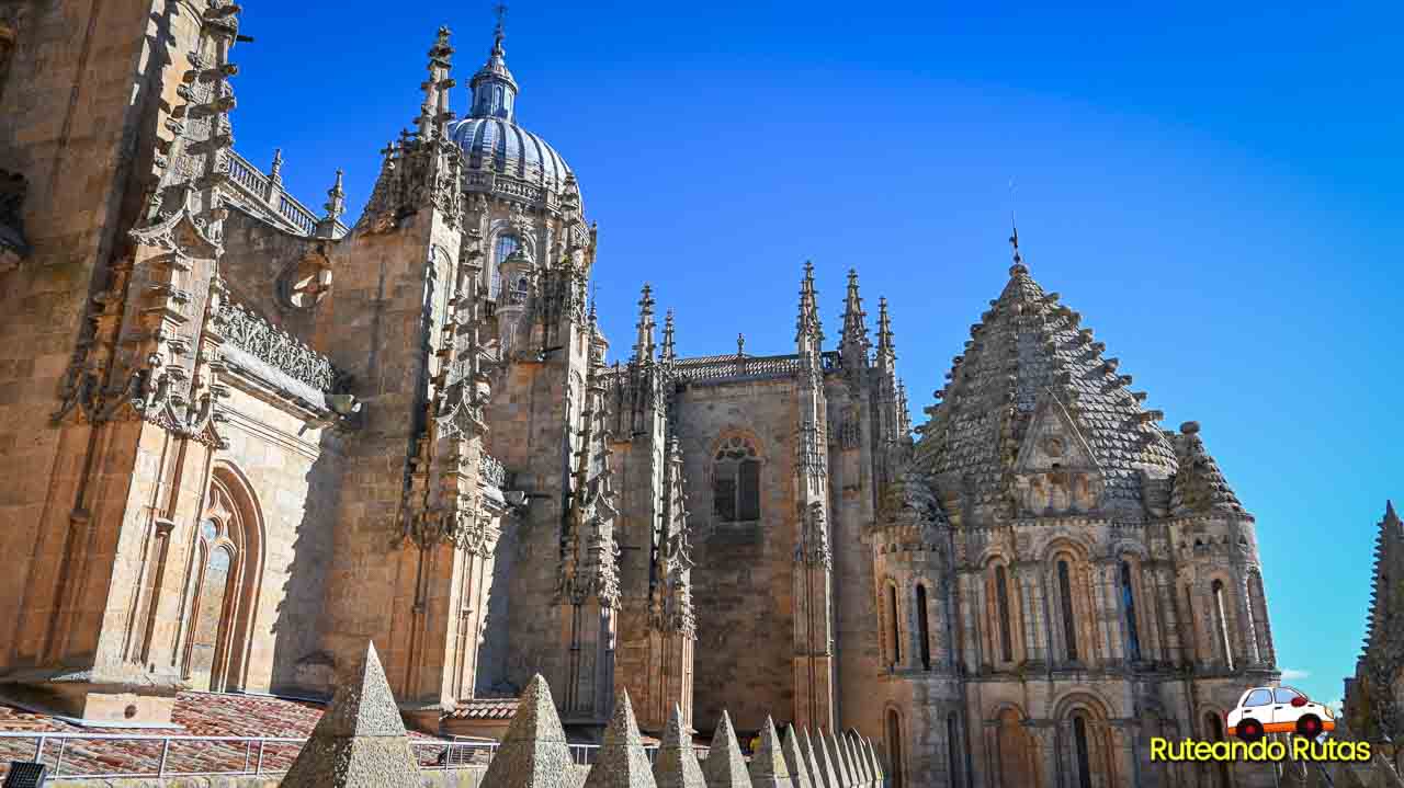 Catedral de Salamanca - Torre del Gallo